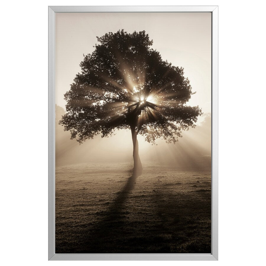 BJÖRKSTA Picture with frame