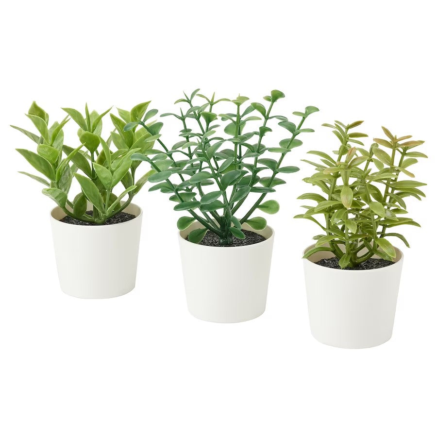 FEJKA Artifi potted plant w pot, set of 3, in/outdoor herbs, 5 cm