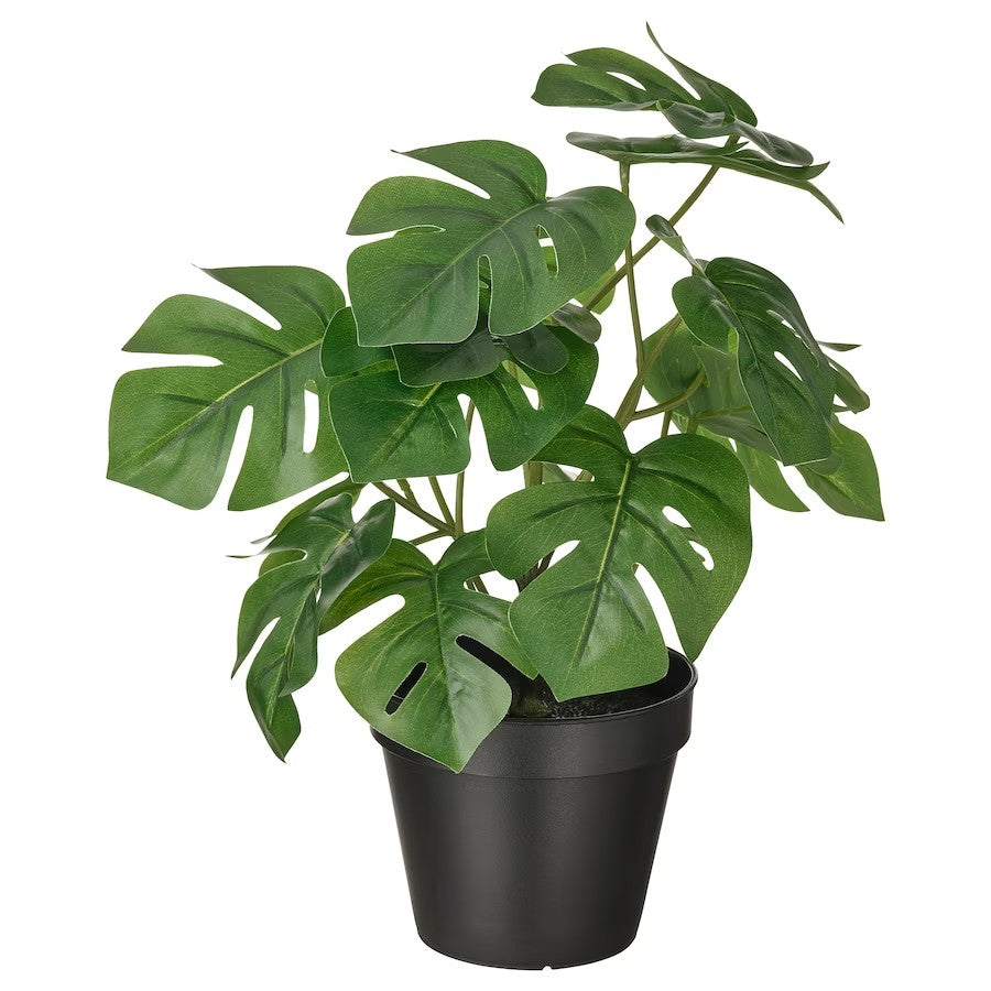 FEJKA Artificial potted plant, in/outdoor Monstera, 12 cm
