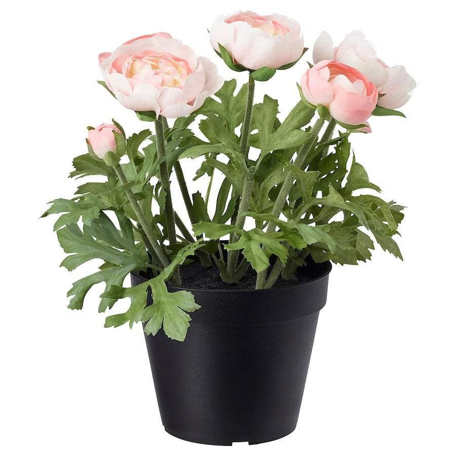 FEJKA Artificial potted plant, in/outdoor/Ranunculus pink, 12 cm (4 ¾ ")