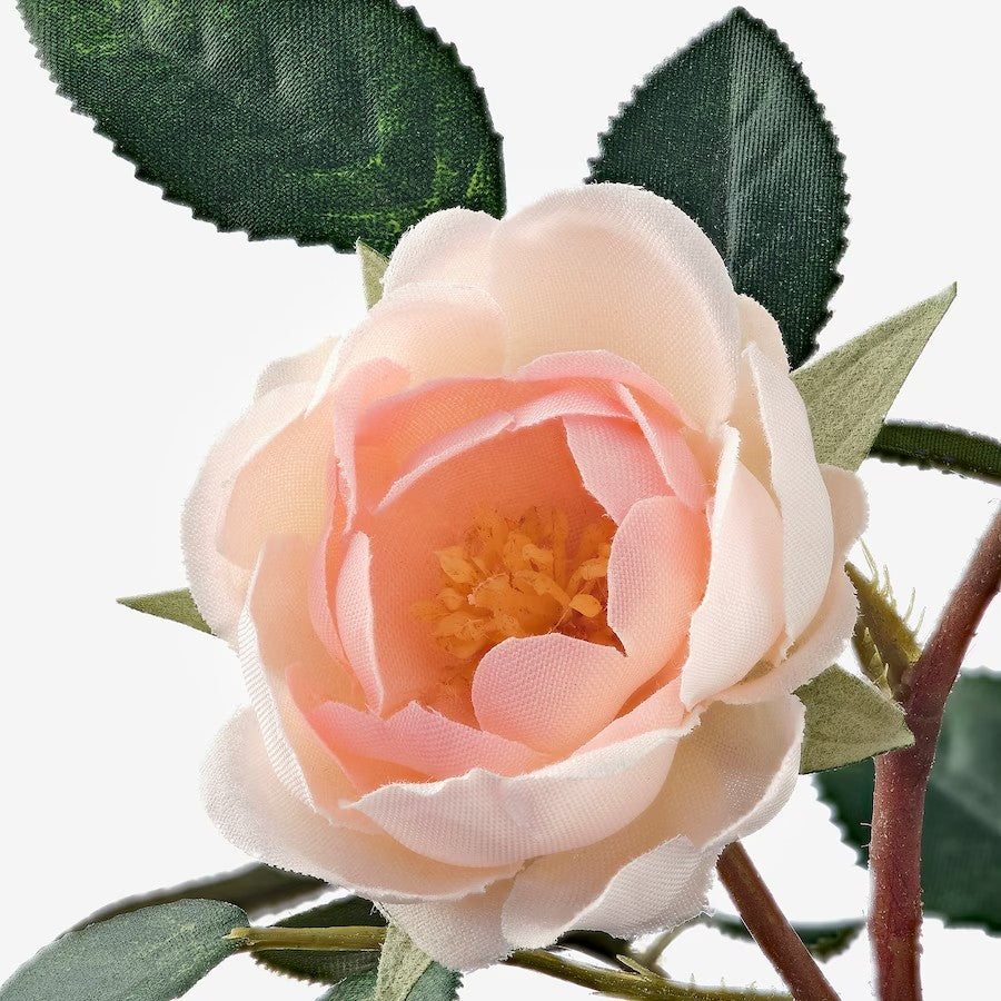 FEJKA Artificial potted plant, in/outdoor/Rose pink, 9 cm