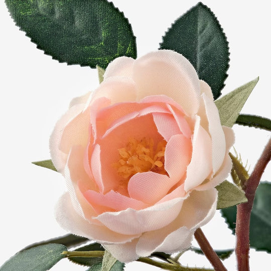 FEJKA Artificial potted plant, in/outdoor/Rose pink, 9 cm