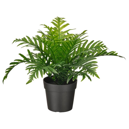 FEJKA Artificial potted plant, in/outdoor Whitley Giant, 9 cm