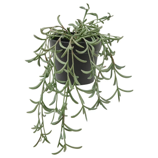 FEJKA Artificial potted plant, indoor/outdoor/String of bananas hanging, 3 ½ "