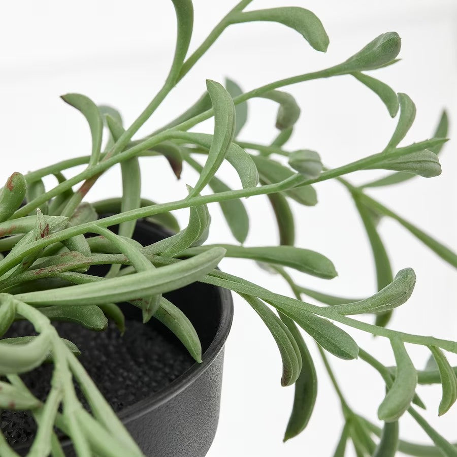 FEJKA Artificial potted plant, indoor/outdoor/String of bananas hanging, 3 ½ "