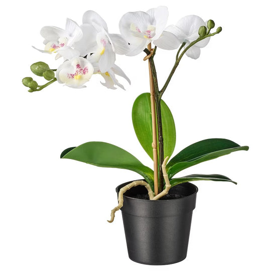 FEJKA Artificial Potted Plant, Orchid White, 9 cm