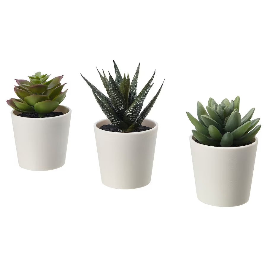 FEJKA Artificial potted plant with pot, in/outdoor Succulent, 6 cm 3 pack