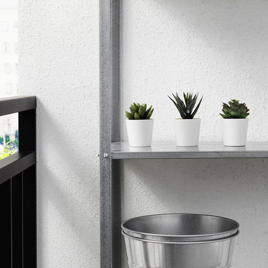 FEJKA Artificial potted plant with pot, in/outdoor Succulent, 6 cm 3 pack