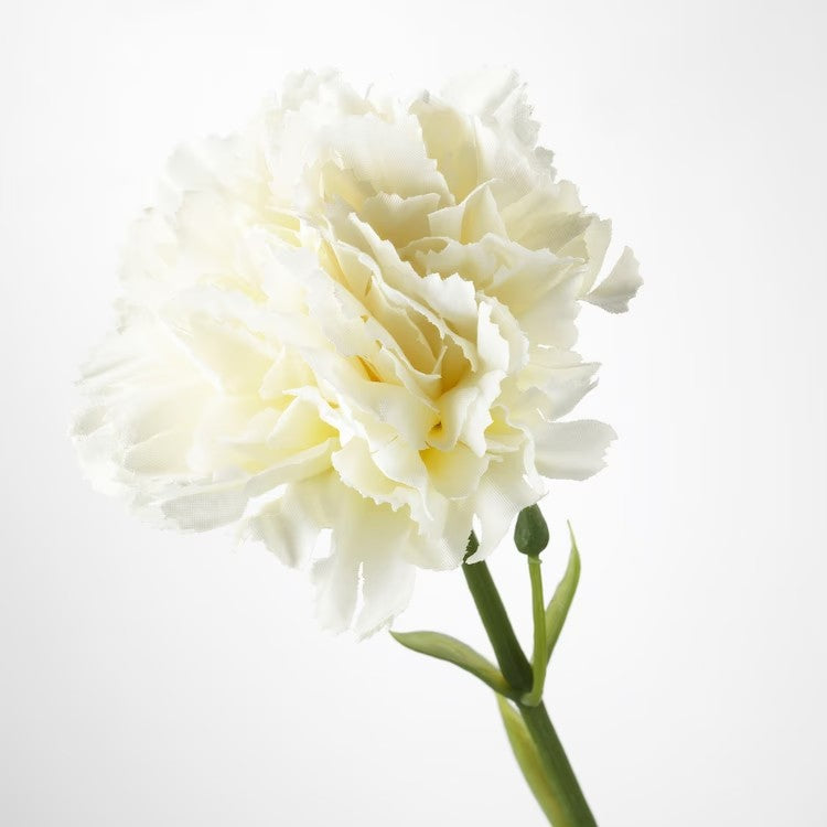 SMYCKA Artificial flower, carnation/white, 30 cm