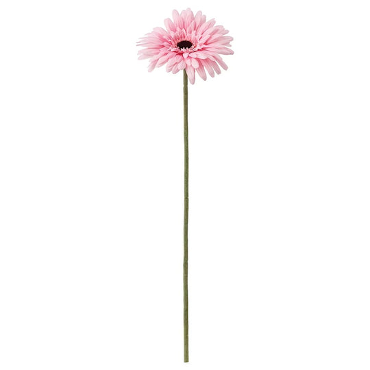 SMYCKA Artificial flower, Gerbera/pink, 50 cm