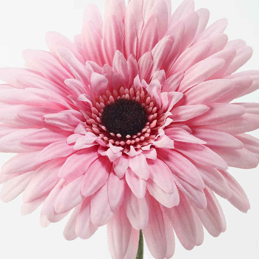 SMYCKA Artificial flower, Gerbera/pink, 50 cm