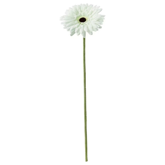 SMYCKA Artificial flower, Gerbera/white, 50 cm