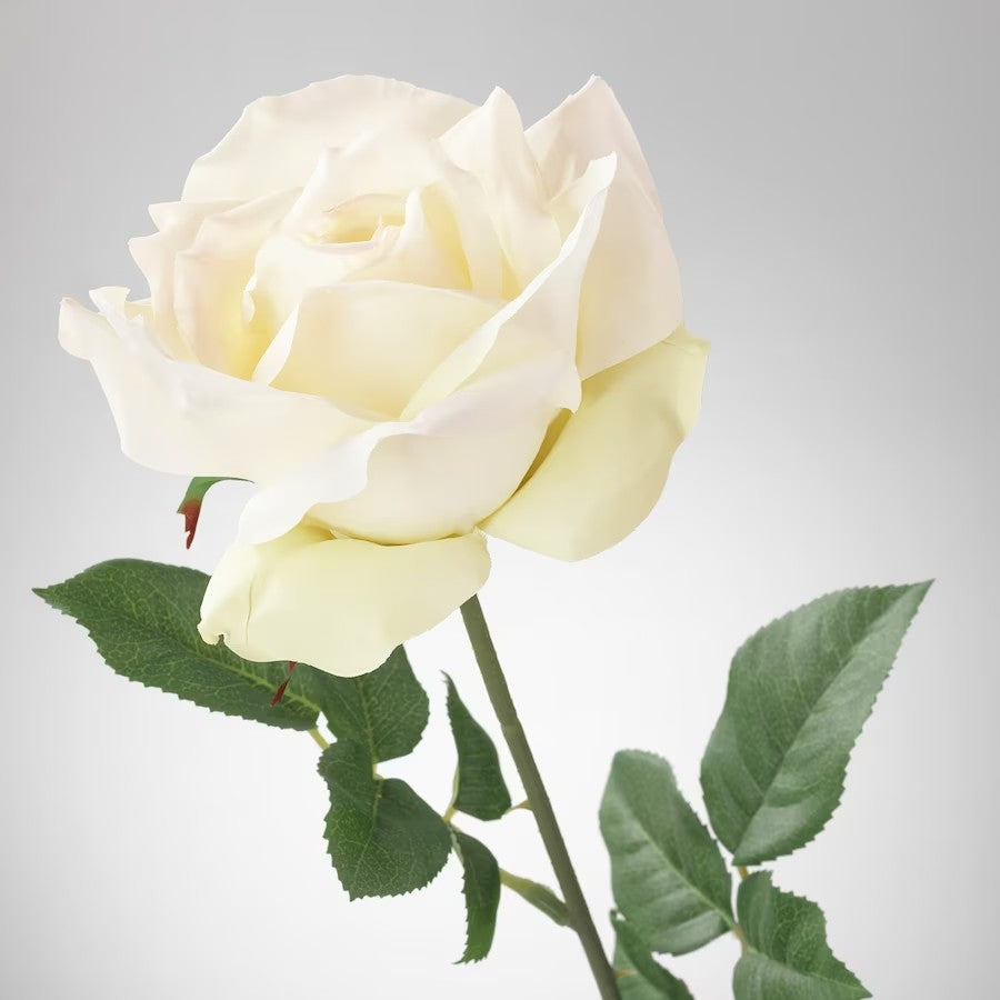 SMYCKA Artificial flower, rose/white, 75 cm