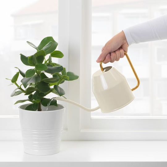 VATTENKRASSE Watering Can, 0.9 l (30 oz)