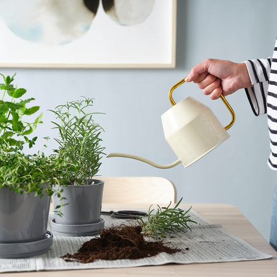 VATTENKRASSE Watering Can, 0.9 l (30 oz)